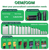 Batterie lithium-ion à semi-conducteurs haute densité HV 66000mAh, personnalisable en usine, 6S 23.7V QS8