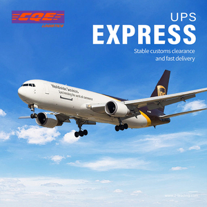Servizio di Trasporto Charter, Agente Logistico Pioneer, Soluzioni Logistiche Personalizzate, Servizi di Sdoganamento per Trasporto Aereo+Espresso - Product Image 3