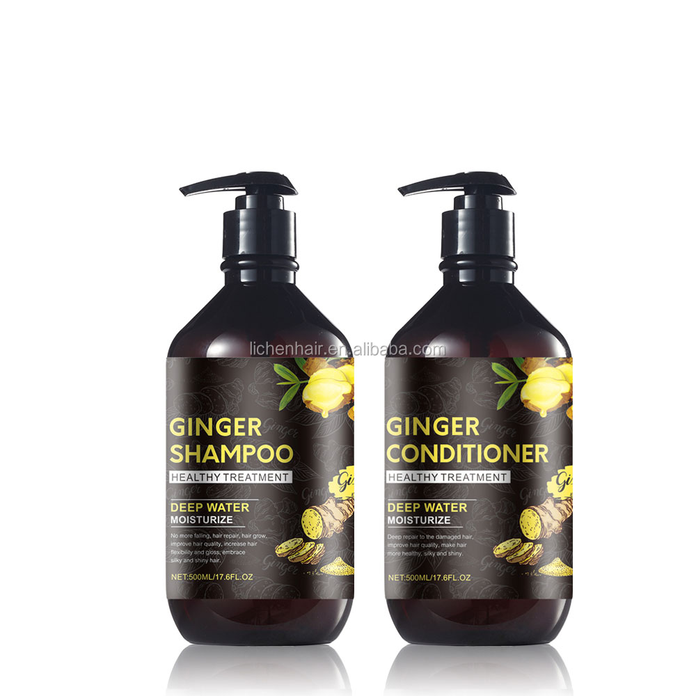 Professional best seller ginger shampoo treatment anti hair loss softy hair ginger extracts shampoo