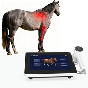 Terapia láser de alta potencia de clase IV veterinaria, 30W, 60W, 810nm, 980nm, 1064nm, terapia física con láser, alivio del dolor con láser - Product Image 1