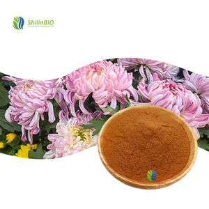 SLBIO Extracto de Flor de Crisantemo en Polvo de Alta Calidad 10:1, Grado Alimenticio, Soluble en Agua - Product Image 3