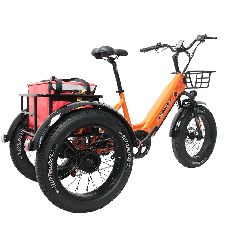 MINGMAX triciclo elettrico per adulti 20 pollici 3 ruote Fat Tire bici elettrica E Trike con motore 48V 750W batteria al litio 18.2AH