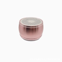 Mini-enceinte sans fil à moule exclusif d'usine, subwoofer extérieur avec microphone intégré et fonction d'appel, vente en gros