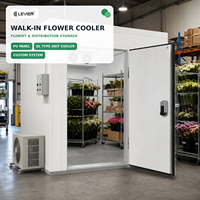 Chambre froide pour fleuristes et distribution de fleurs coupées avec système de stockage réfrigéré stable