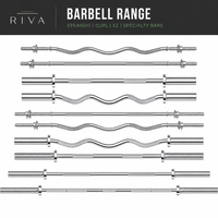 Ensemble d'haltères et de barres RIVA avec logo personnalisé, en acier inoxydable de 45 livres - Équipement d'entraînement physique léger et portable pour usage commercial