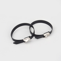 Vente directe d'usine en Chine attaches zippées SS 250mm attache de câble autobloquante Support en acier inoxydable OEM disponible échantillon gratuit