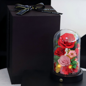 Dôme en verre avec roses LED stabilisées en gros, fleurs <span class=keywords><strong>éternel</strong></span>les avec hortensia et gypsophile, cadeau pour la Saint-Valentin et anniversaire - Product Image 1