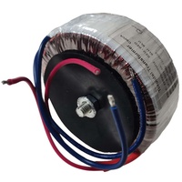 Transformateur de puissance 12v 18v 24v 45v 80v 220v Transformateur abaisseur toroïdal 220v 240v 45 0 45 24-0-24 50 0 50v 2x28v