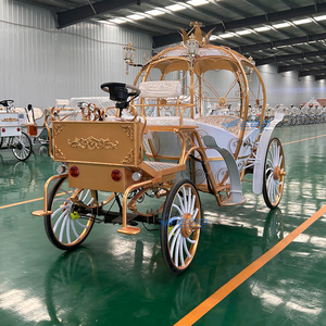 Carruaje de Cenicienta en Venta, Transporte Especial, Carruaje de Fantasía de Princesa Calabaza, Carruaje Eléctrico en Venta - Product Image 5