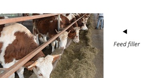 ผงดินไดอะตอมเมเชียสธรรมชาติอาหาร/เครื่องสำอาง/เกรดการเกษตร | Xuyang แบรนด์85% SiO2 25กก./ถุง1MT/ตัน - Product Image 3