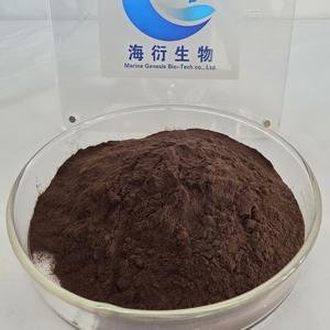 Estratto in Polvere di Erba di San Giovanni Selvatica Biologica Marine Genesis Bio-Tech, 0,3% Ipericina, Confezionato Sottovuoto in Fusto - Product Image 2