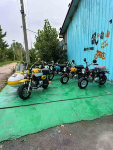 Vente d'Usine Pit Bike Monkey & Gorilla <span class=keywords><strong>50cc</strong></span> Quatre-Temps Injection Électronique Mini <span class=keywords><strong>Moto</strong></span> pour Adultes et Enfants - Product Image 6