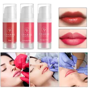 Fabrik anpassen Beste Qualität Permanent Make-up Tinte Microb lading Tattoo Pigment Augenbrauen Lippen Kosmetik