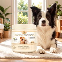 Complément alimentaire digestif pour animaux de compagnie en gros – Friandises à mâcher molles pour le soin intestinal – Complément nutritionnel pour la santé digestive des chiens et des chats