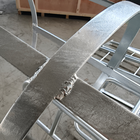 Échelle industrielle antidérapante en acier inoxydable et acier au carbone, avec anneau de protection, pour toiture extérieure d'appartement