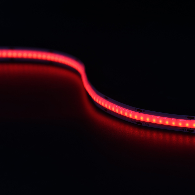 Popular 2835 RGB LED Strip 240LEDs