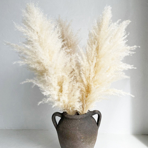 Pampas secas y esponjosas de Color blanco, grandes, flores, Pampus, decoración, césped - Product Image 2