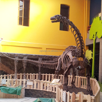 Réplique artificielle de dinosaure géant grandeur nature de qualité musée