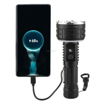 Lampes de poche EDC super lumineuses Bright Bird, 10 modes d'éclairage, lampe torche LED magnétique rechargeable, lampes de poche tactiques