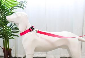 Bonito <span class=keywords><strong>collar</strong></span> suave de PVC para mascotas, impermeable y fácil de limpiar, duradero para gatos o perros, patrón sólido - Product Image 3