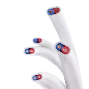 悦华 BVVB 2芯<span class=keywords><strong>3</strong></span>芯白色护套扁平电缆1.5mm/2mm/4mm/6mm无氧铜实心导体PVC绝缘线 - Product Image 3