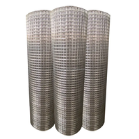 Grillage en acier galvanisé pour poulaillers, clôtures agricoles, maille carrée soudée, tissage simple