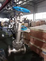 Katup Gerbang Baja Tahan Karat 10"/12"/14"/16"/18" DN250/DN300/DN350/DN400/DN450 316L/304/CF8M/Duplex/2507 Kelas 150 Berflens