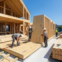 Panneau OSB professionnel 9-25 mm 1220x2440 mm, qualité E1, panneau stratifié structurel pour la décoration et la construction de meubles d'intérieur
