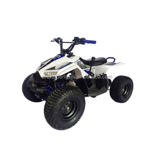 <span class=keywords><strong>Quad</strong></span> enfant SG Blazer 90 à essence 50CC/70CC/90CC certifié CE avec transmission automatique, fourni directement par l'usine, remorques agricoles économiques - Product Image 1