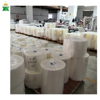Película laminada BOPP/CPP OPP CPP metalizada impresa para empaque de helados y paletas