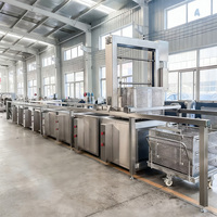 Machine de braisage continu pour poulet, canard, poisson, machine de cuisson à vapeur de type tunnel, système de cuisson automatique à convoyeur