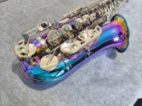Colorful Lacquer Surface Brass Polished Rust Resistant Eb Alto Saxophone Silver Buttons Abalone Shell Inlay Keys Professional