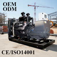 Groupe électrogène de grande puissance 500 kW 625 kVA 700 kVA 800 kVA 1000 kVA, Groupe électrogène diesel Shangchai, Usine