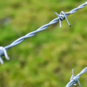 Vente directe d'usine, fil de fer <span class=keywords><strong>barbelé</strong></span> galvanisé à chaud, clôture en fil de fer <span class=keywords><strong>barbelé</strong></span> de bonne qualité, rouleau de clôture en fil de fer <span class=keywords><strong>barbelé</strong></span> - Product Image 5