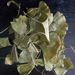 Bai Guo Ye Feuille De <span class=keywords><strong>Ginkgo</strong></span> Séchage Brut Nouvelles <span class=keywords><strong>Feuilles</strong></span> De <span class=keywords><strong>Ginkgo</strong></span> <span class=keywords><strong>Biloba</strong></span> Séchées Naturelles De Haute Qualité - Product Image 6