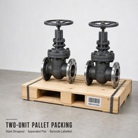 Katup Gerbang Segitiga Flens RF Rising Stem Handwheel A216 WCB Kelas 300 API 600 API 598 untuk Pipa Uap Pembangkit Listrik Langsung dari Pabrik