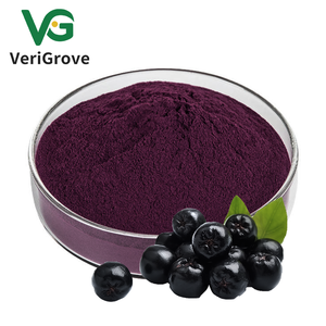 Ekstrak Blackcurrant hitam larut alami murni bubuk antosianidin 1%-25% ekstrak Blackcurrant - Product Image 2
