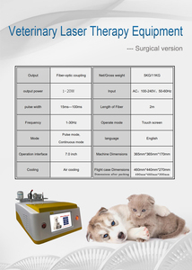 Pet Clinic Veterinary Laser Animals Small Weight Surgery Therapy Vet Laser <strong>Orthopaedic</strong> <strong>Instruments</strong> - Product Image 5