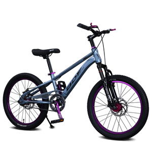 Vélo vtt pour étudiants Vélo à pédale violet à une vitesse Vélo ordinaire pour enfants du fabricant avec frein à disque Fourche en acier - Product Image 4