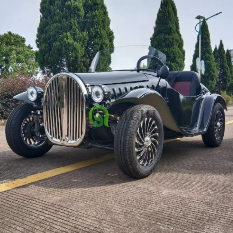 Adult Pedal Cool Pedal Cars Bugatti Pedal Vehicles For Adults