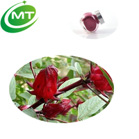 Extrait de fleur d'hibiscus pur anthocyanidines supplément à base de plantes en poudre extrait de Roselle extrait de plante