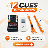 Système de tir de feux d'artifice sans fil programmable Beyondfire SH09-mini 12 canaux avec télécommande et batterie rechargeable