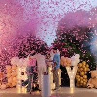 Machine à feux d'artifice à fumée pour révélation de sexe TNT, bouton poussoir, accessoires de décoration de fête, canon à confettis pour révélation de sexe de bébé
