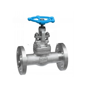 Api602 áp lực cao giả mạo thép F316 nace mr0175 tiêu chuẩn 800lbs 2inch ổ cắm Hàn <span class=keywords><strong>Swing</strong></span> kiểm tra van - Product Image 6