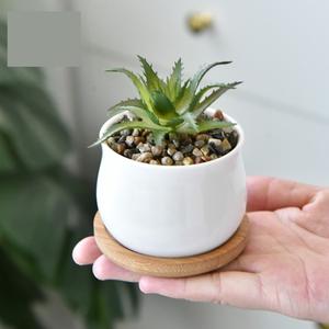 Macetas Modernas de Lujo de Alta Calidad para Plantas Gruesas, Soportes para Macetas de Bonsái para Uso en Interiores y Jardines - Product Image 4