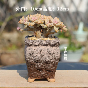 Maceta de flores de pila antigua suculenta al por mayor Maceta de cerámica en bruto mate vintage en relieve Maceta de muesca de acantilado creativa - Product Image 2