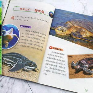 Set Completo Mondo Magico degli Animali 8 <span class=keywords><strong>Libri</strong></span> Illustrati su Animali/Insetti/Oceani/Dinosauri per Studenti delle Scuole Elementari - Product Image 4