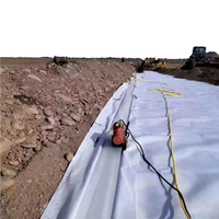 Rouleau de géotextile non tissé écologique 100 g/m² pour la filtration, la séparation et le renforcement dans les projets civils