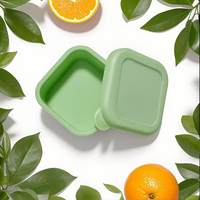 Petite boîte à bento carrée en silicone réutilisable, mini boîte à lunch, bol à collation 100 ml, pliable, étanche, pour voyage, cuisine, pique-nique