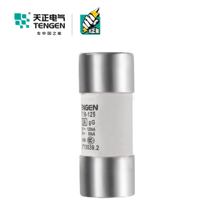 Fusible Tengen RT18-125 63A 22x58mm, fusible à cartouche pour applications basse tension - Product Image 2